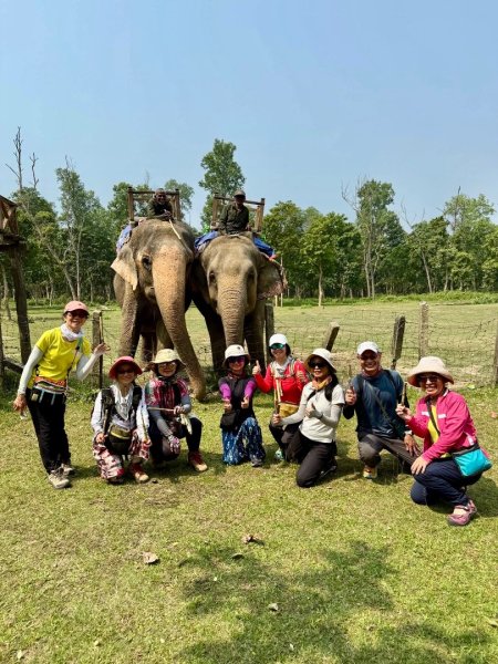 尼泊爾奇旺國家公園4天三夜2790885