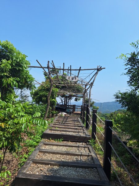 太平車籠山+貓頭鷹步道+番子路山+豬槽山202605023045773