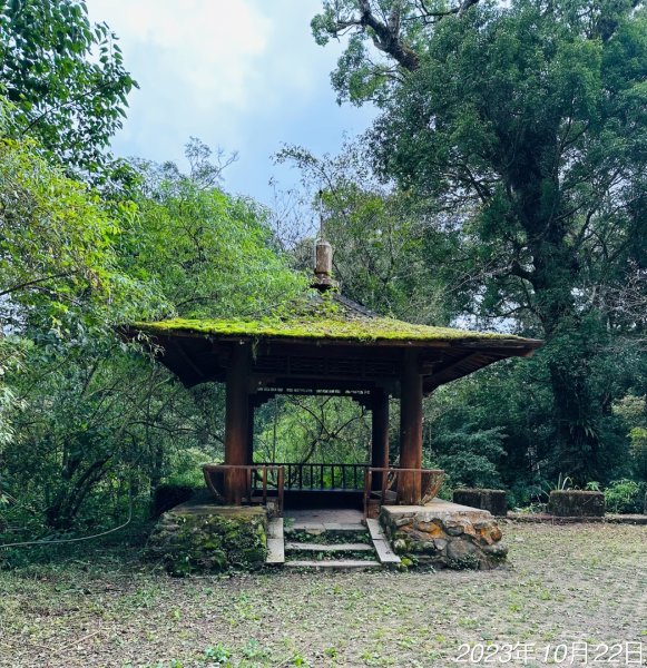 特富野古道2846008