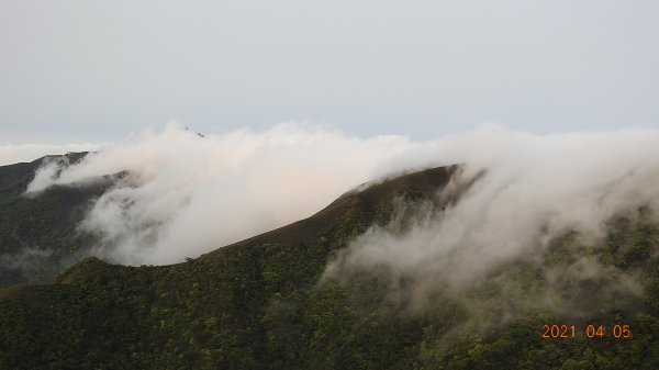 0405陽明山再見雲瀑，今年以來最滿意的一次1335474