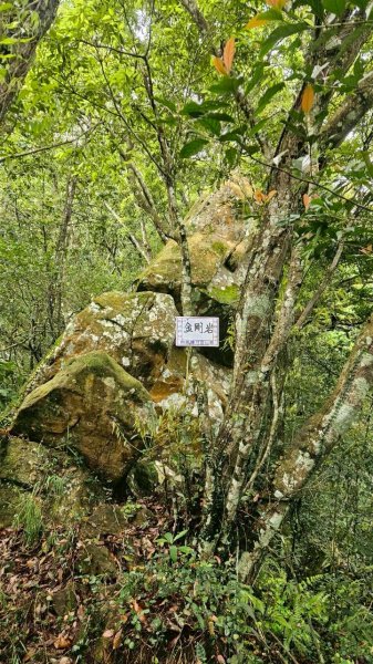 20260417白石下山-金山西峰-蕩跋山-劉家界山-老社寮山-新富山O行3041765