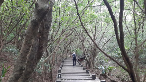 《台中》颱風前夕｜大肚環保公園登山步道(北段)202409292606717