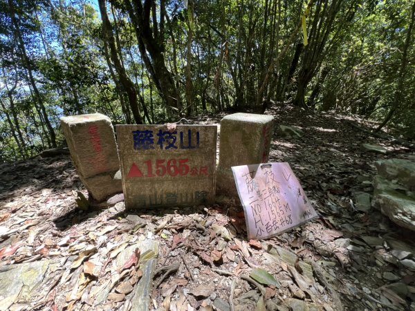 藤枝山3061245
