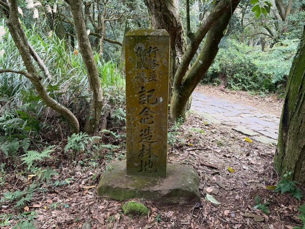 台北 北投 七星山主東峰苗圃線3004619