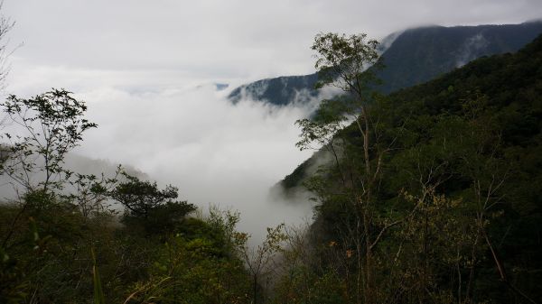 井步山(阿猴富士山)116154