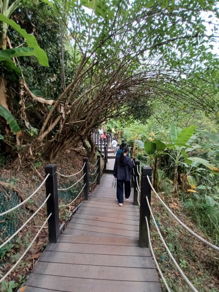 【台中北屯】台中大坑九號步道2933012