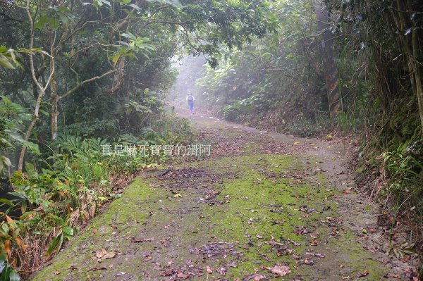 烏山嶺水利古道2799201