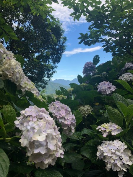 威赫山、多崖山、北插天山O走1746584