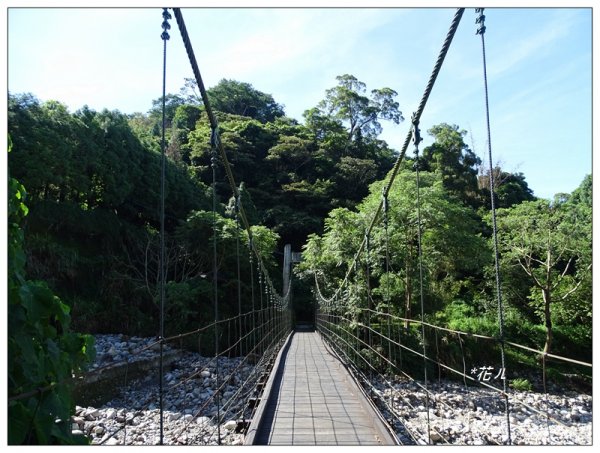 台中/大坑4號步道634921