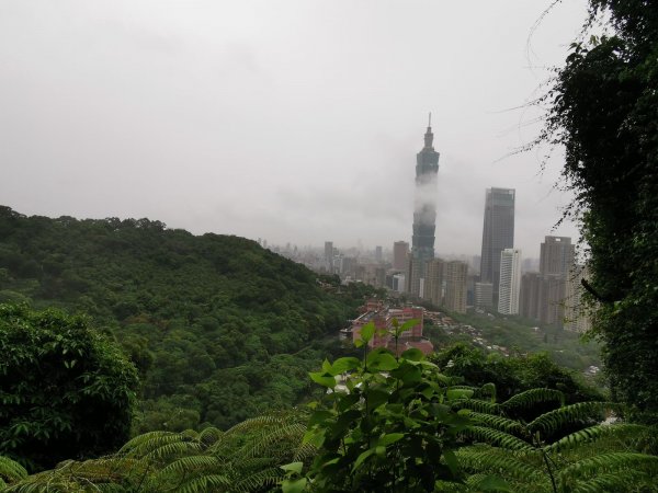 雨中漫步北部山岳-二格山、土庫岳、象山道1136806