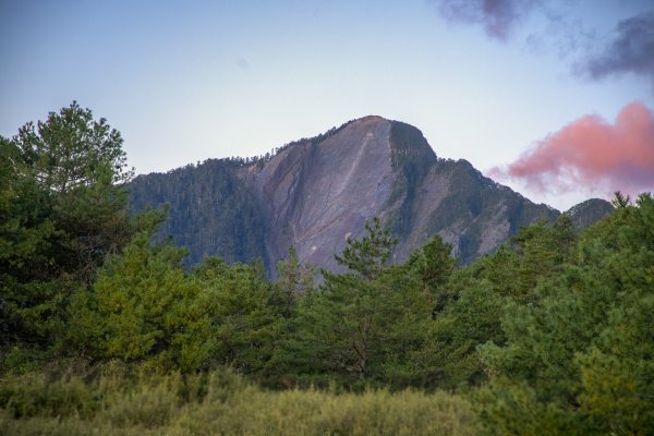 大小劍-油婆蘭全紀錄2674192