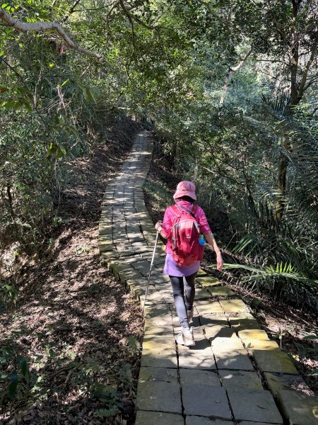 鳴鳳山-錫隘古道大O繞-202601252991409
