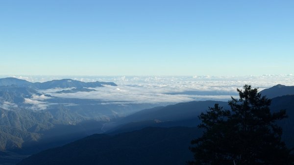 中央尖山 2025 11/7 三天兩夜2935754