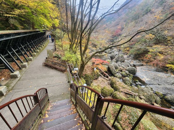 20251125登月居山遊袋田瀑布順遊舊上岡小學校2958381