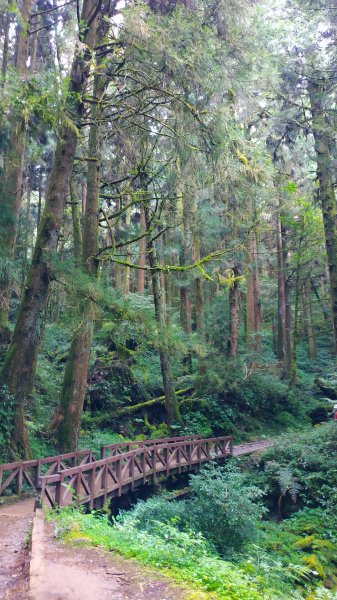 山林美境尋寶石特富野古道202009031090799