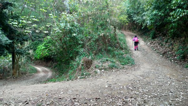 小百岳【尾寮山】905229