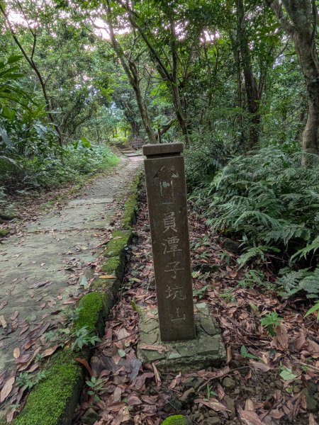 2026.6.19端午節走訪待老坑山3078426