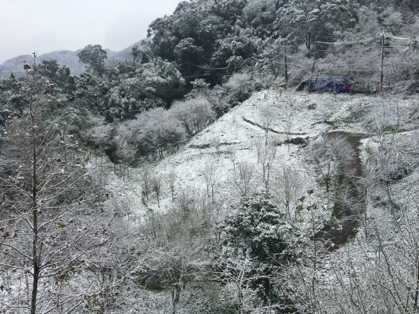 羅馬公路銀白雪景29738