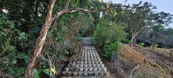 2026/01/10_銅鏡山林步道2980587