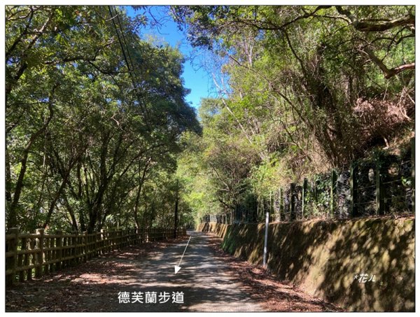 北松鶴山、德芙蘭步道 (台中 和平)2922121