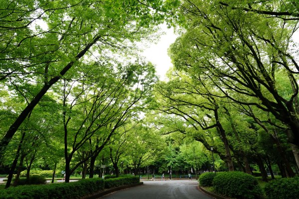 日本 大阪2784876