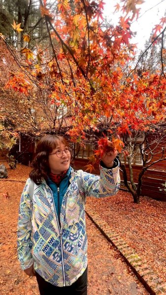 🌈12/20(六)福壽山農場~追風趣✨FB：熊熊趴爬走🌈2967267