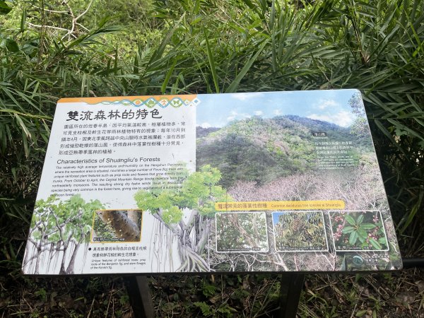 [屏步青雲 尋寶任務-03/10] 2024_0917 雙流國家森林遊樂區（瀑布步道）2597725
