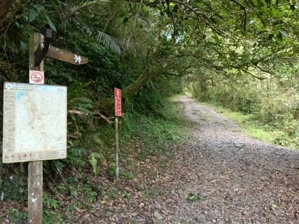 雙溪區坪溪古道-蛇仔崙-鶯子嶺-太和山-蛇子頭觀景台-梗枋越嶺古道鞍部-坪溪古道O型3029747