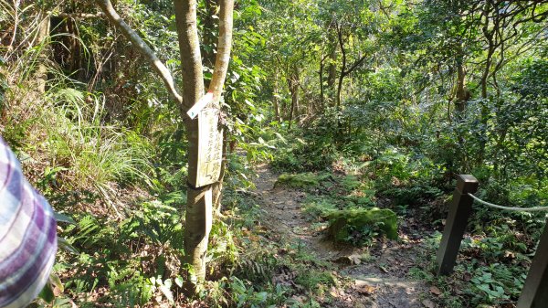 烘爐地文筆山造鎮1067398