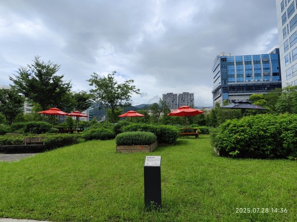 臺大舟山路、大港墘公園、成功高中【臺北健走趣】2848154