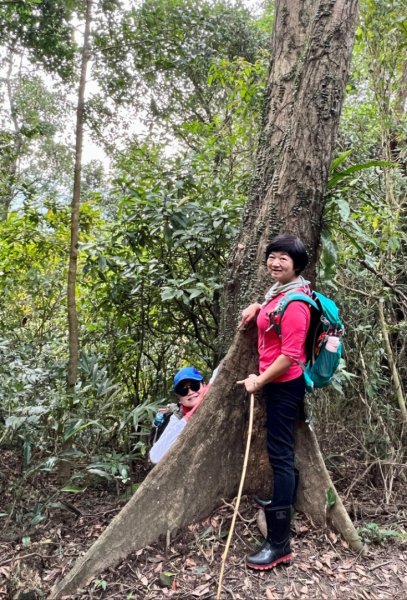 東勢大崙、東勢坑山、觀音湖山O走2986372