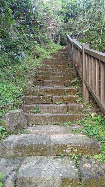 大武崙山、情人湖3046527