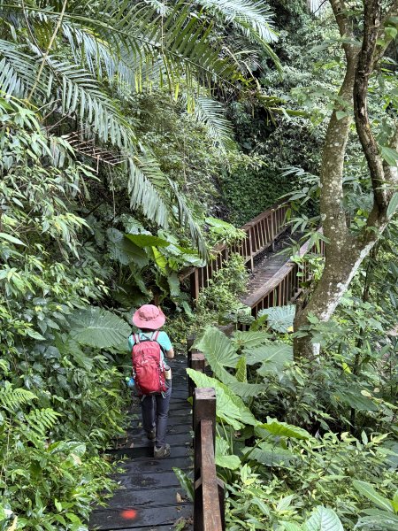 竹坑溪步道 202506282827147