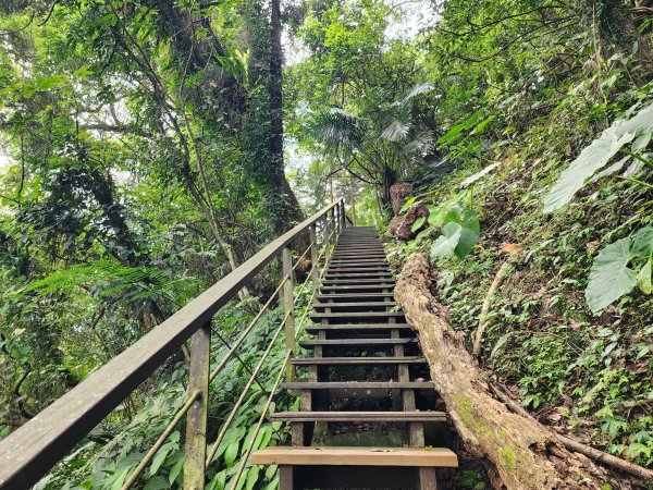 五指山橫向登山步道×猴洞步道一線天3060552