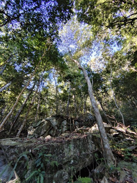 佳保台山-八仙山2910263