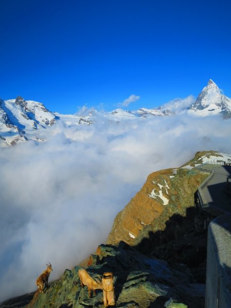 2019瑞士大健走Swiss Alps1406166