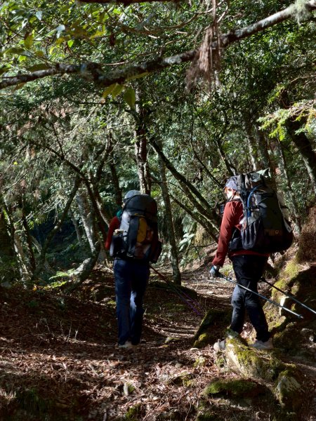 2025.11.30 西巒大山2952301