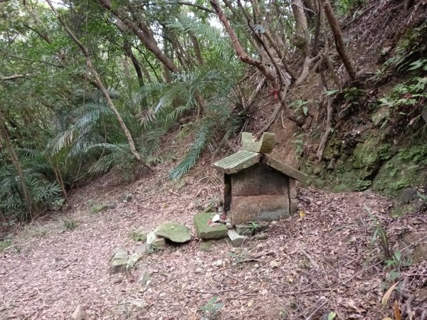 貢寮區蚊子坑古道+和美池+和美山+北勢坑古道2990877