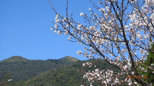 雲山水花鳥蝶 - 天龍國阿伯的日常 3/52053143