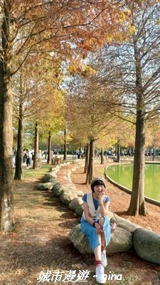 【南投名間】欣美創意園區~落羽松2968327