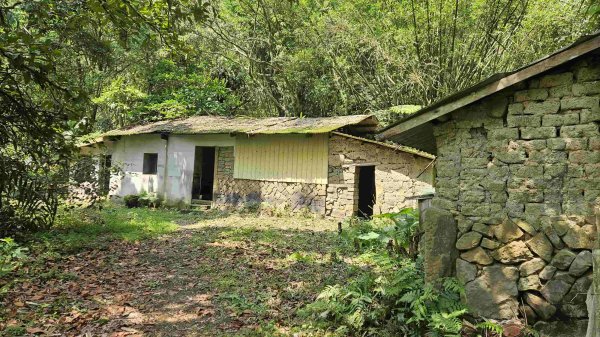 20250427魚衡山-南峰-南南峰-猴山岳北北峰-北峰-主峰-前峰-西峰下指南宮2771949