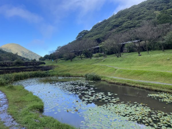 季節限定/尋找向天🦐-鵠沼枝額蟲-上面天山堆雪人2931417
