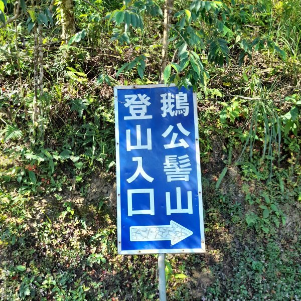 小百岳No.31⛰鵝公髻山2407862