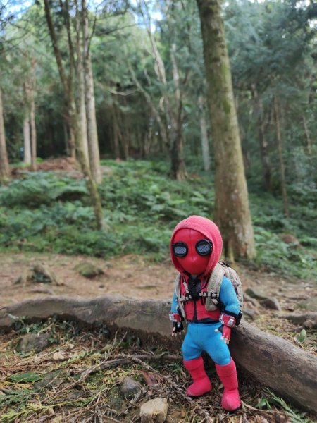 2023.12.27 東眼山2838848