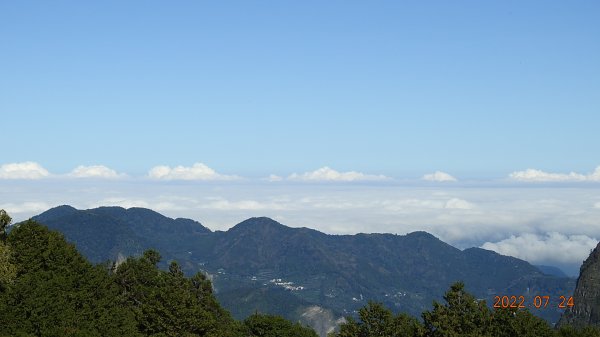 最高小百岳-大塔山2663M&阿里山二延平步道1775047
