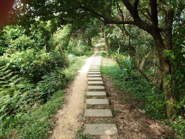 微笑山線之烘爐地任務2836461