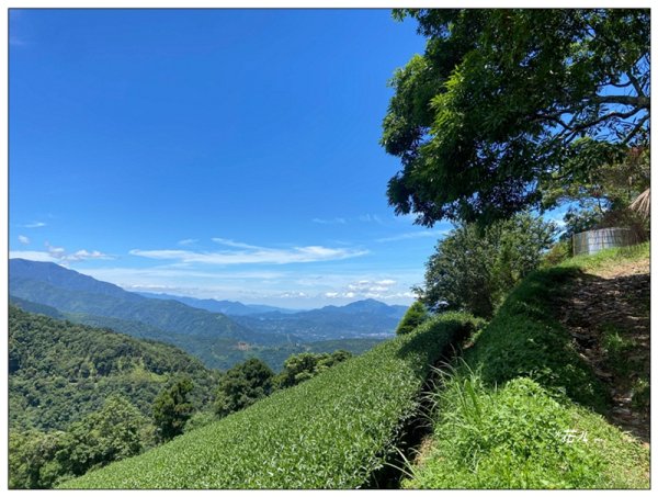 武界山、獅凸魯山、橫屏山、橫屏山西峰 連走2846113