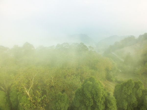 苗栗--薑麻園步道7485