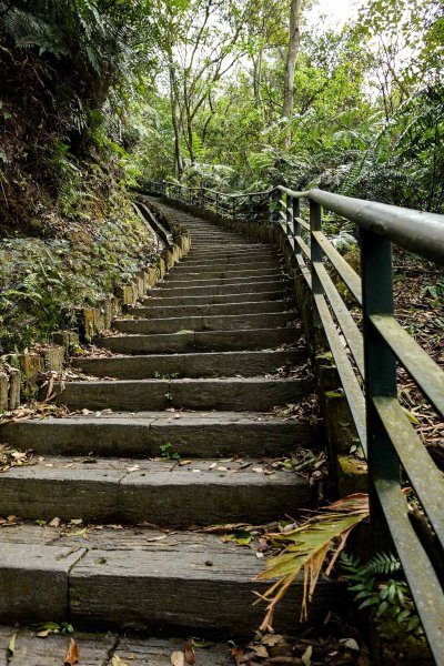 大崙頭尾山｜小百岳2756494