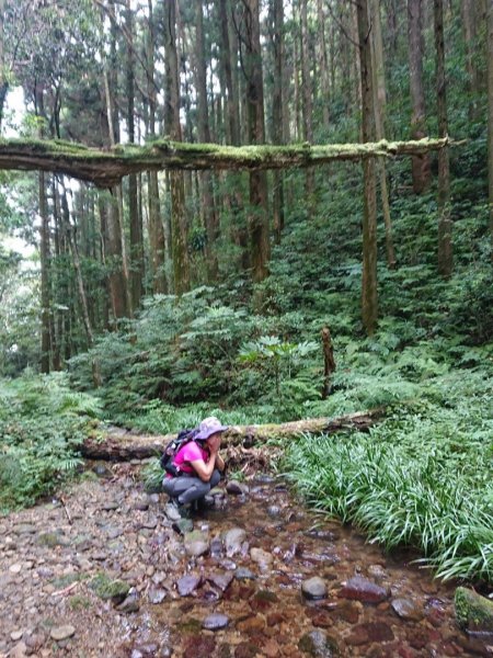 貴妃山、那結山O走1478340